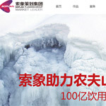 索象營銷策劃集團網站建設