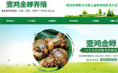 壹鴻金蟬養(yǎng)殖網(wǎng)站建設(shè)