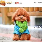 北京優(yōu)寵天下網(wǎng)站建設
