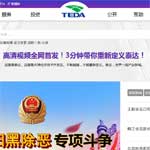 天津經濟技術開發區政務服務平臺網站建設