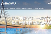 中國寶武武鋼集團有限公司網(wǎng)站建設(shè)