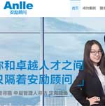 安勵獵頭顧問網(wǎng)站建設(shè)