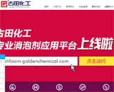 南京古田化工有限公司網站建設