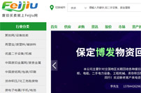 Feijiu網網站建設