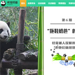 熊貓頻道網站建設