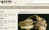 考古中國網網站建設