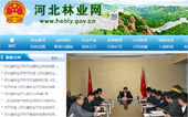 河北林業網網站建設