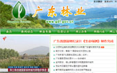 廣東林業網網站建設