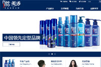 美濤專業美發大師網站建設