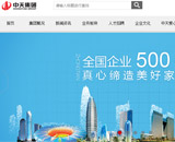 中天集團網站建設