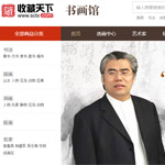 收藏天下網站建設