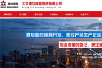 北京德立模塑商貿有限公司網站建設