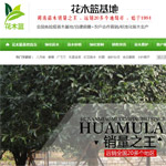 花木藍網站建設