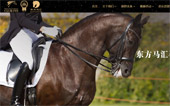 東方馬匯馬術俱樂部網站建設