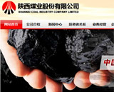 陜西煤業股份有限公司網站建設