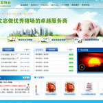 河南銀發牧業網站建設