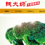 廣州錢大媽農產品有限公司網站建設
