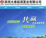大秦能源置業網站建設