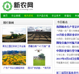 新農網網站建設