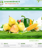 恒欣揚貿易有限公司網站建設