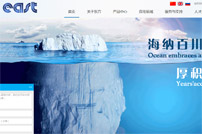 上海東方泵業網站建設