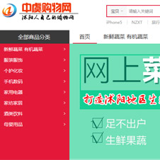 中虞購物網網站建設