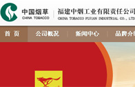 福建中煙工業有限責任公司網站建設