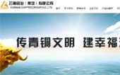 云南銅業(集團)有限公司網站建設