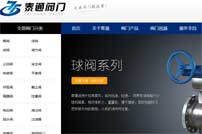 上海泰通閥門有限公司網站建設
