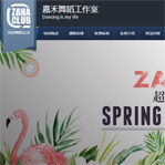 嘉禾舞社網站建設