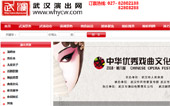 武漢演出網網站建設