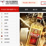 瑞可摩爾網站建設