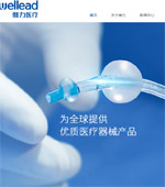 維力醫療網站建設