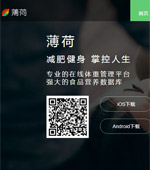 薄荷網網站建設