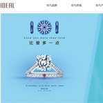 愛迪爾珠寶網站建設