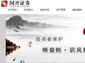 國開證券網站建設