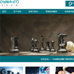 華彩集團網站建設